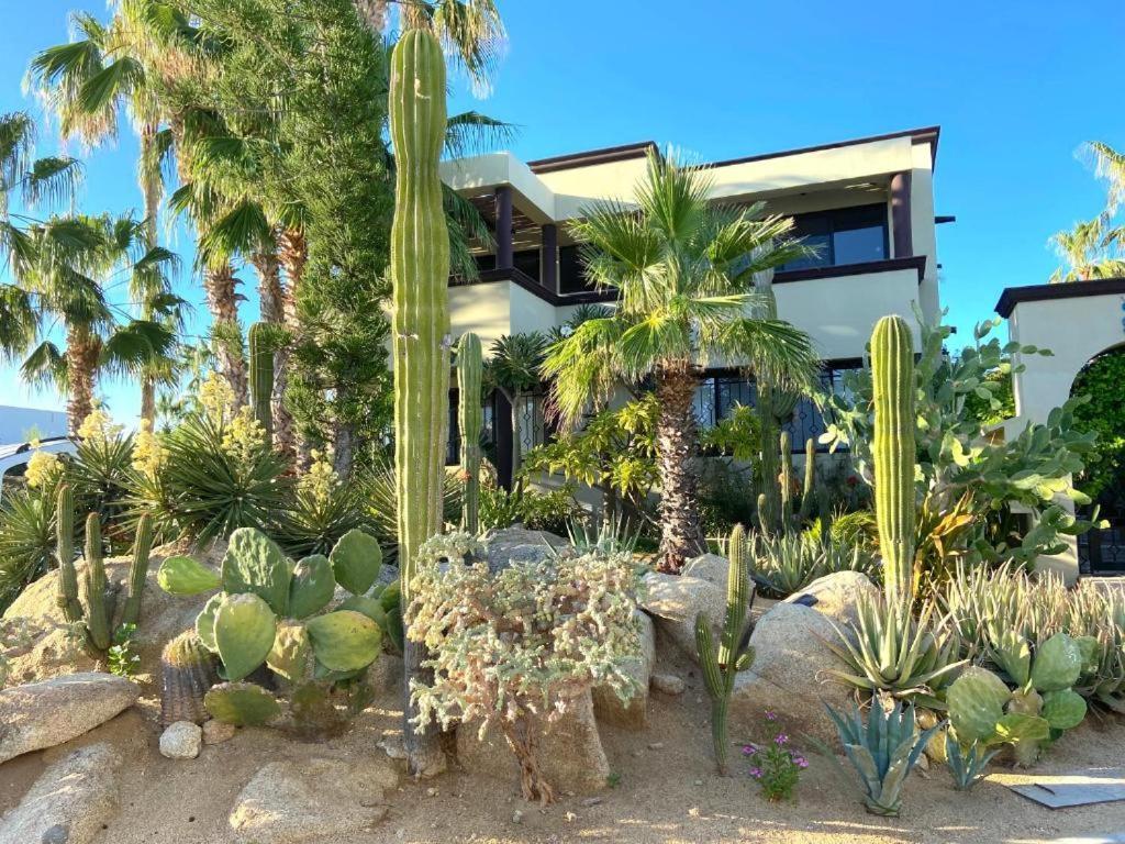 Spectacular Vacation Home Ocean View Walk To Beach Cabo San Lucas Exterior foto